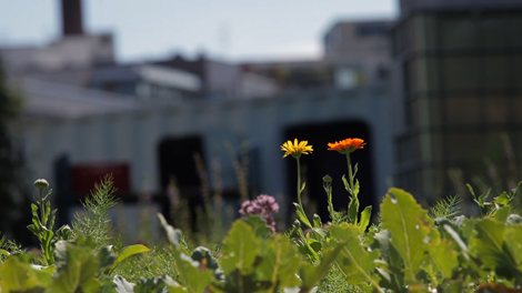 Media_httpwwwmonoclec_ahexa