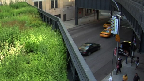 Media_httpwwwmonoclec_oaerb