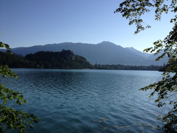 Bled1